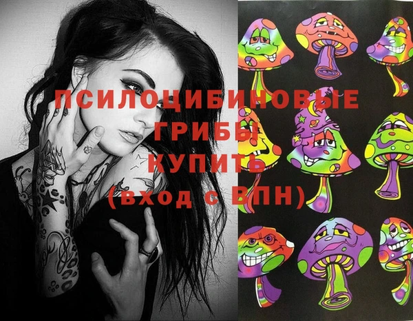 ALPHA PVP Белокуриха